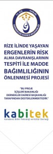 kirlangic